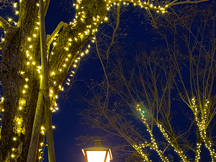クリスマスにおすすめ！LEDイルミネーション ストリングライト（直線）について | LEDイルミネーション情報